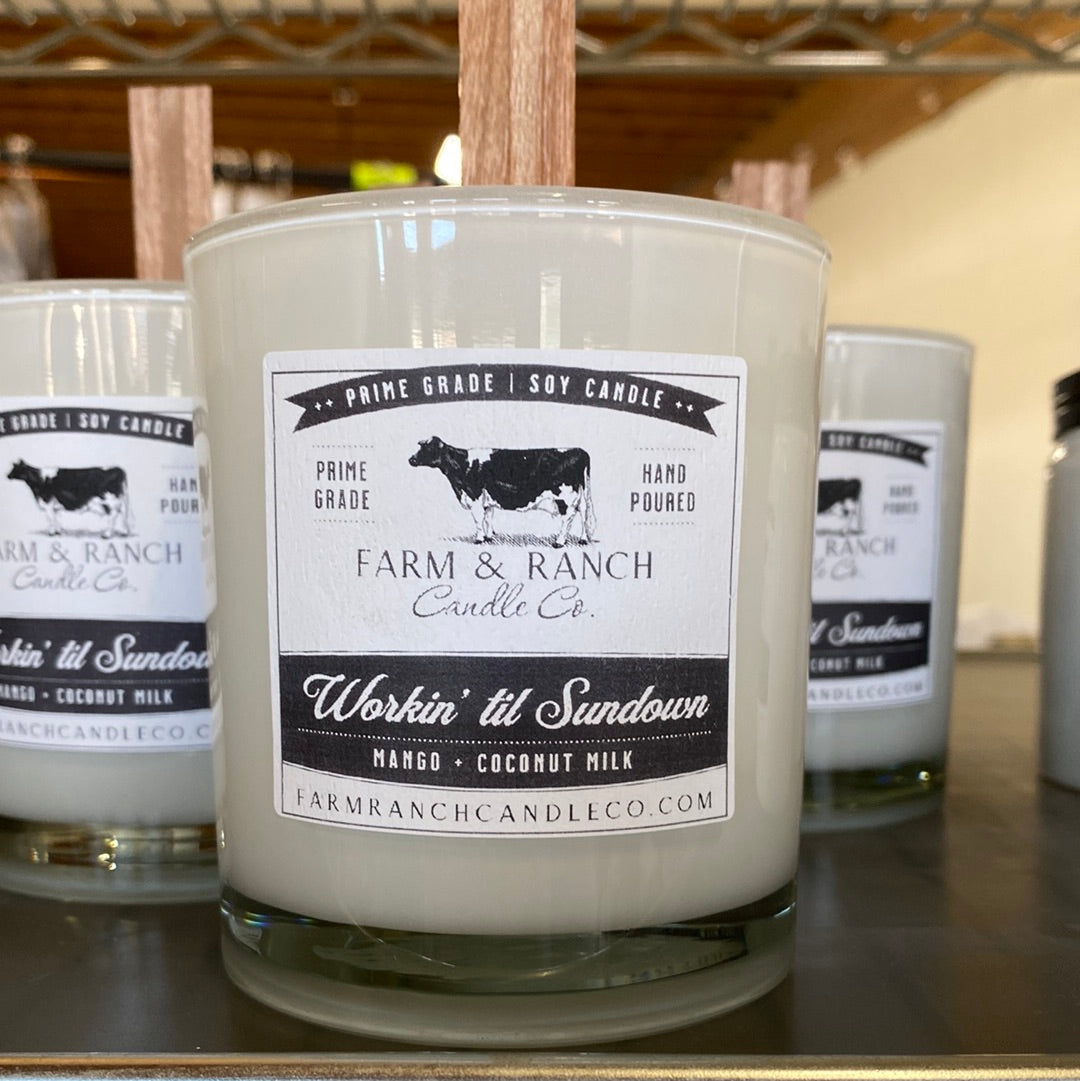 Candle | Workin' 'til Sundown | Mango + Coconut Milk
