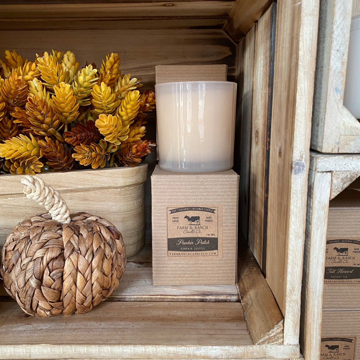 Candle | Punkin Patch