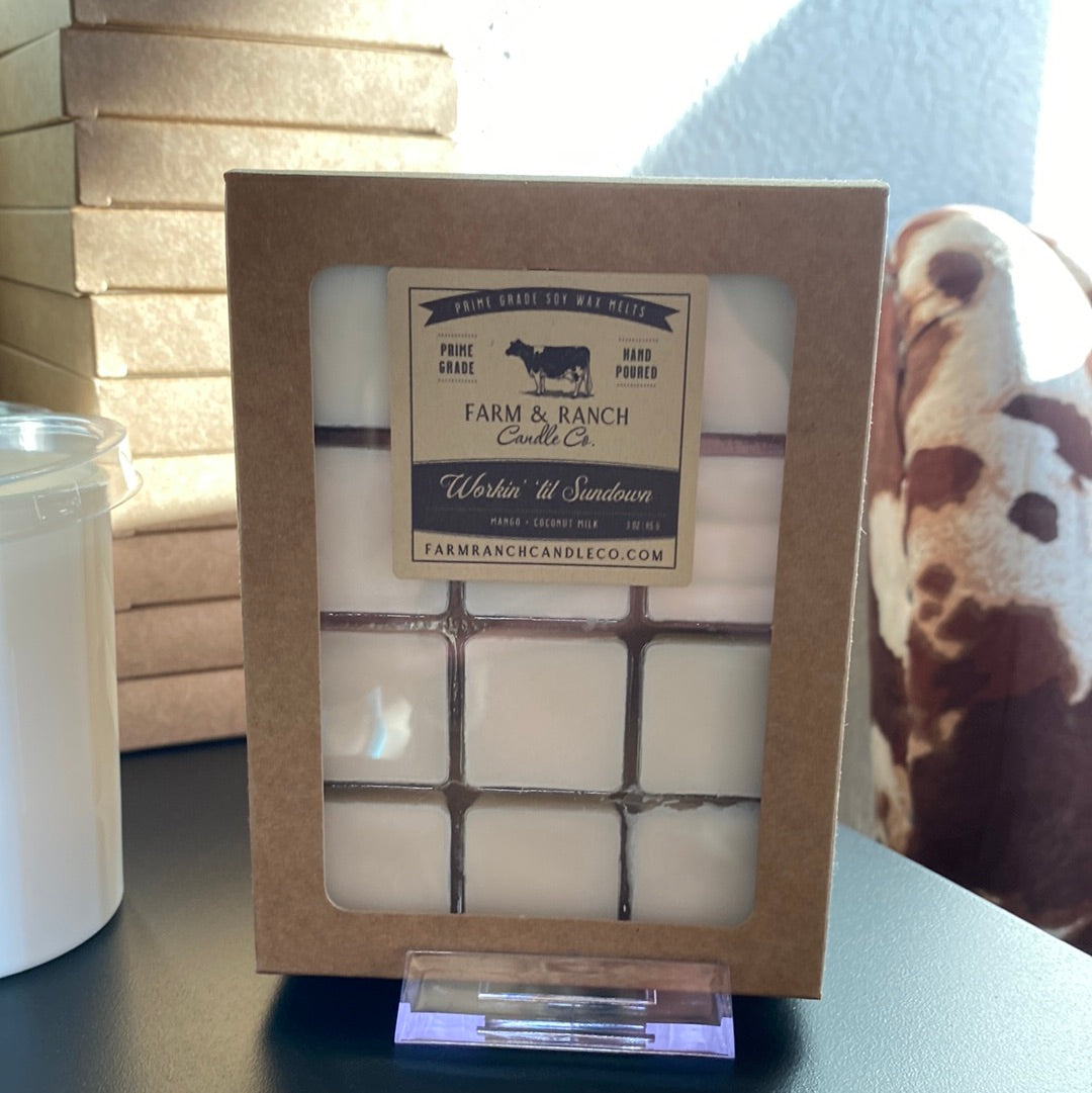 Candle | Workin' 'til Sundown | Mango + Coconut Milk