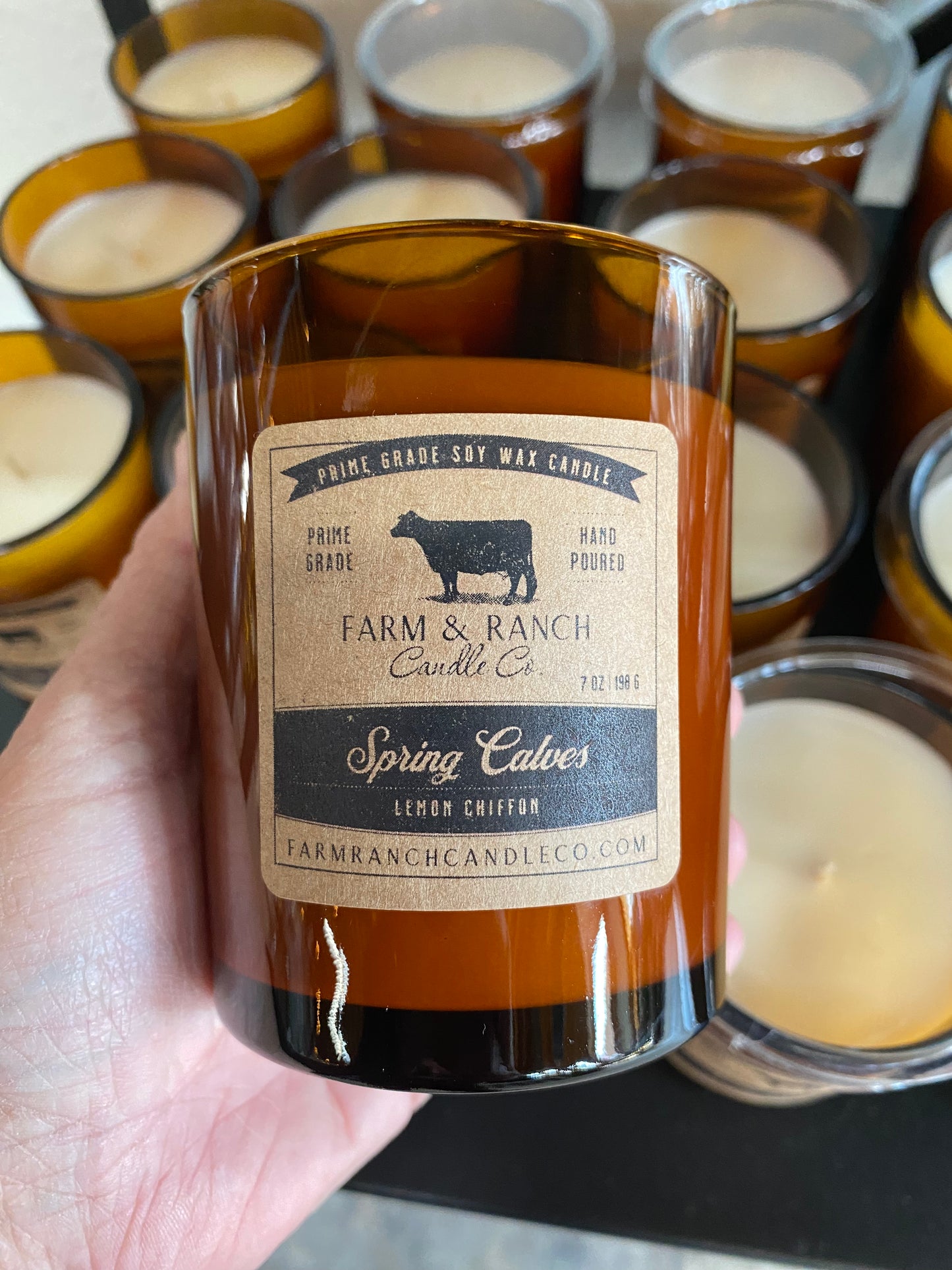 Candle | Spring Calves