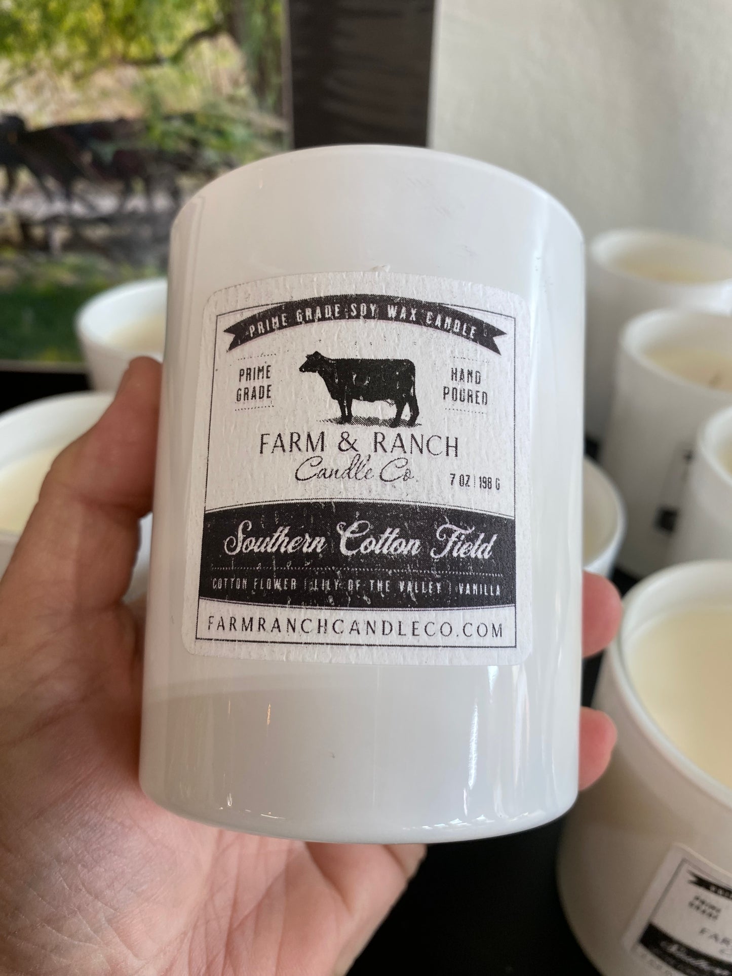 Candle | Southern Cotton Field