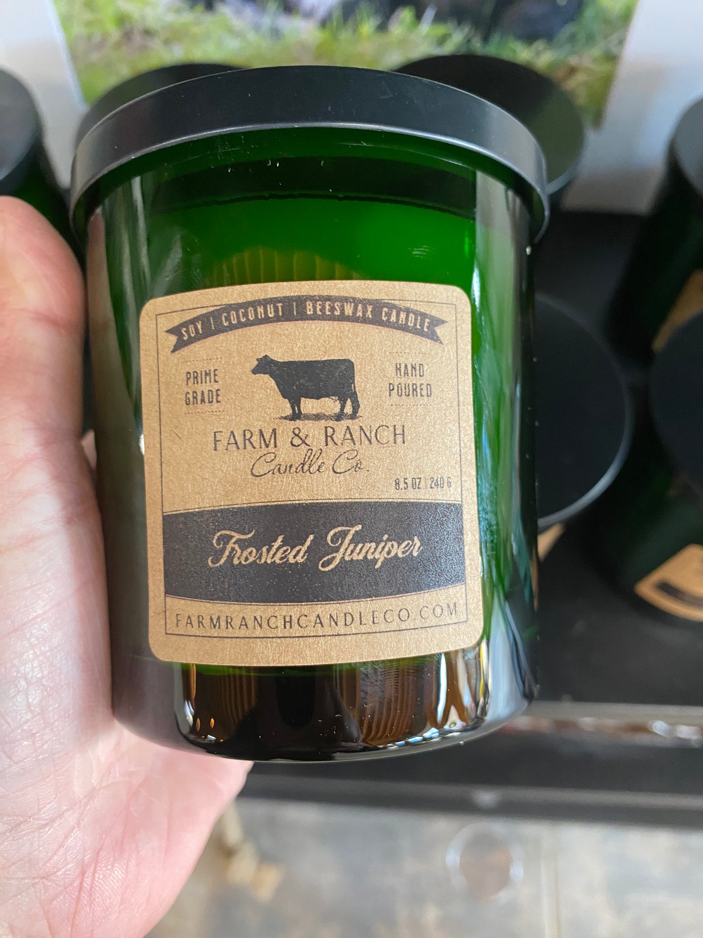 Candle | Frosted Juniper