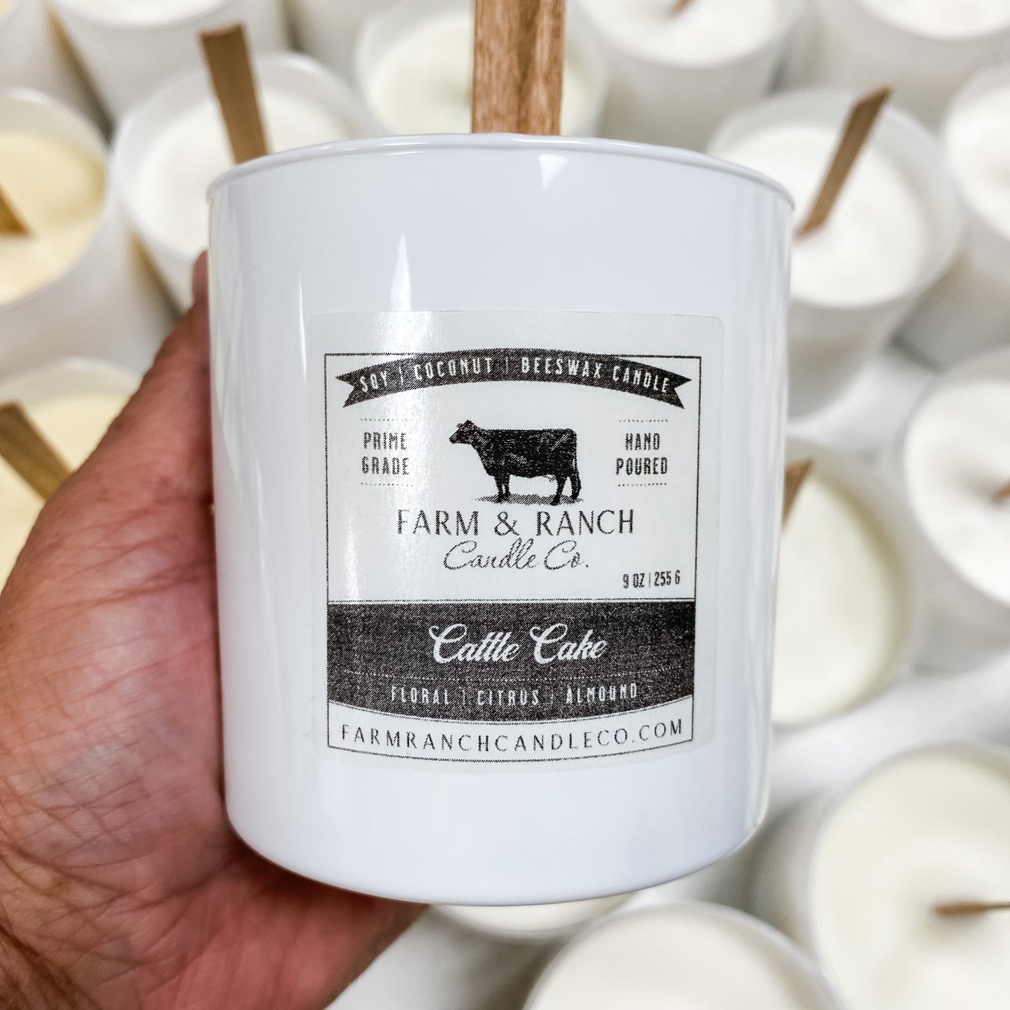 Candle | Cattle Cake