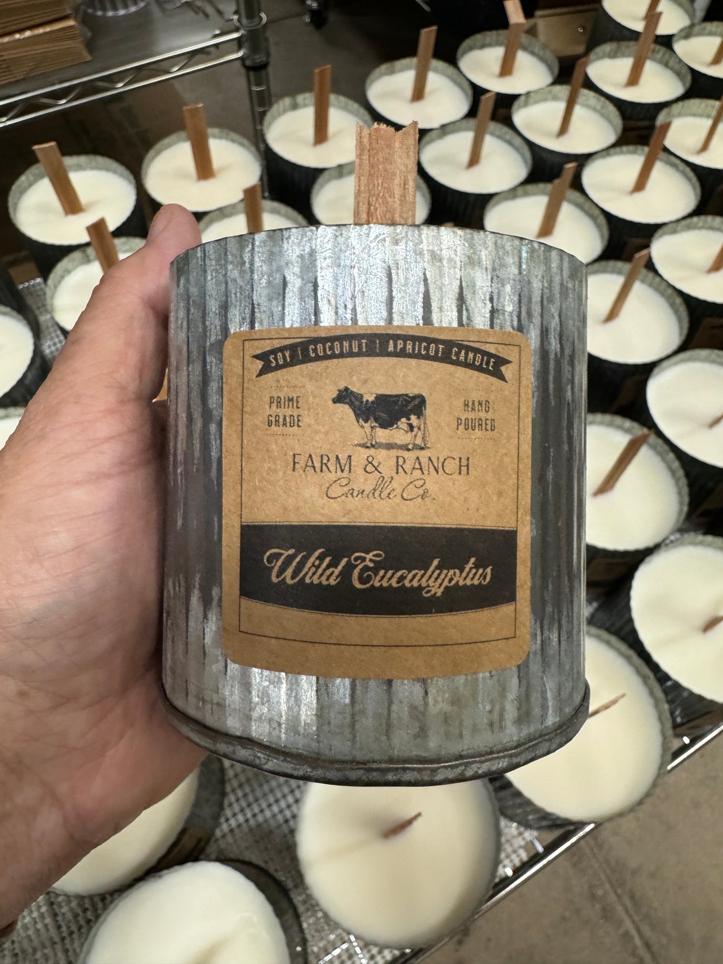 Candle | Wild Eucalyptus