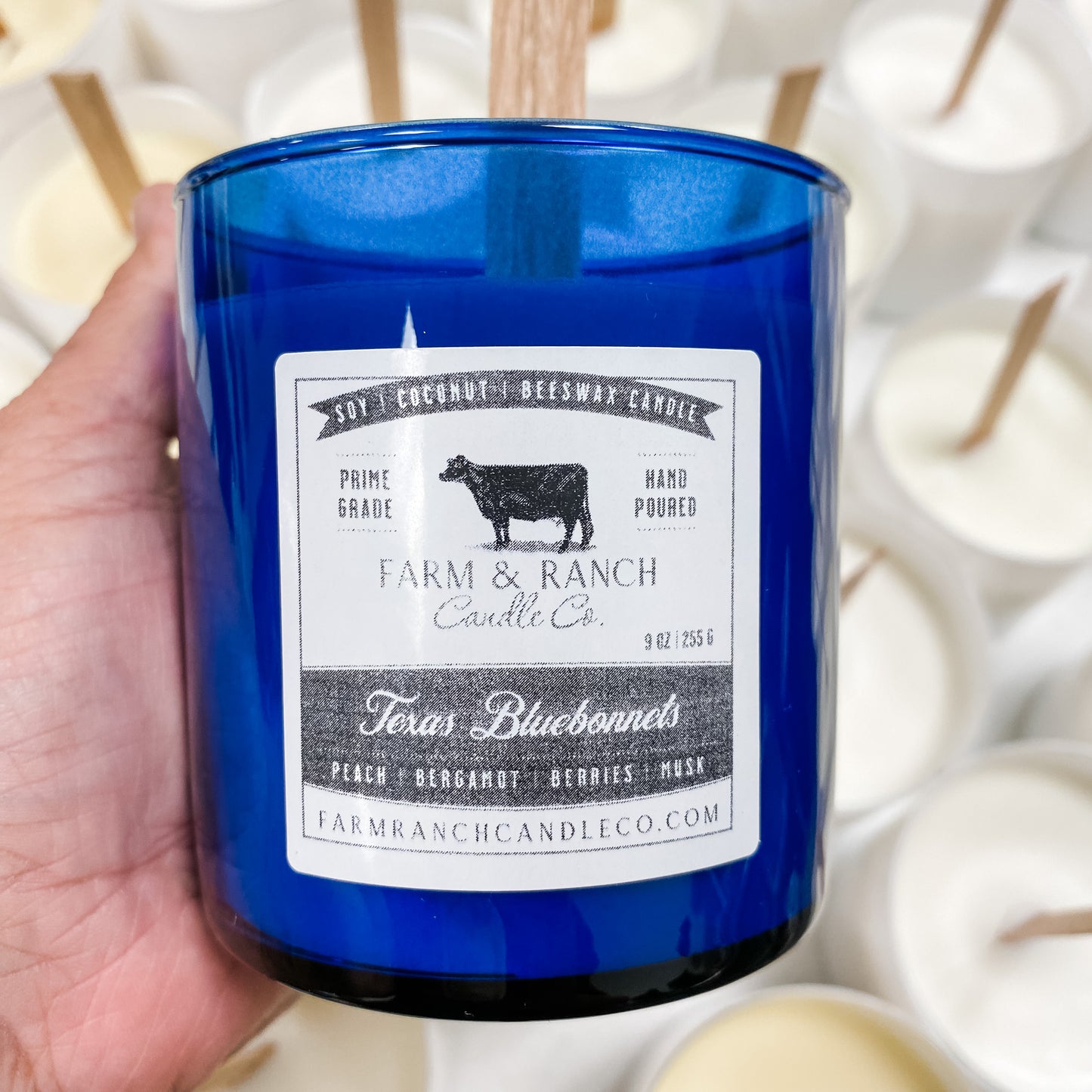 Candle | Texas Bluebonnets